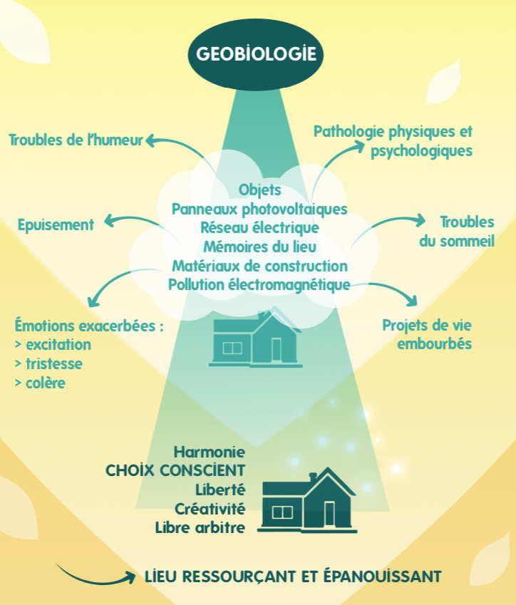 Géobiologie et soins de la maison